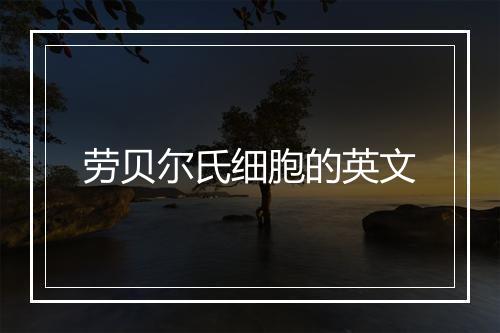 劳贝尔氏细胞的英文