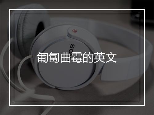 匍匐曲霉的英文