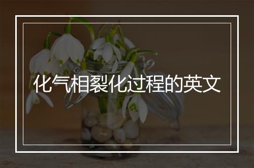 化气相裂化过程的英文