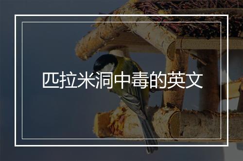 匹拉米洞中毒的英文