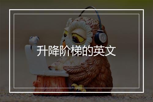 升降阶梯的英文