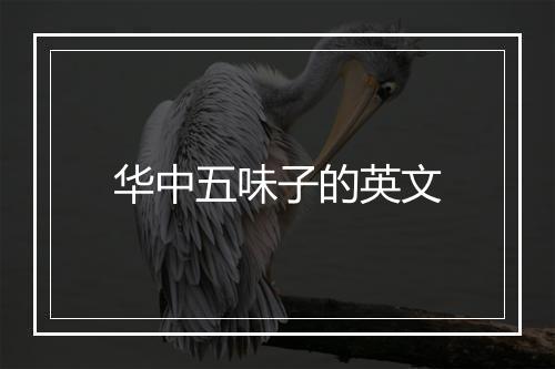 华中五味子的英文