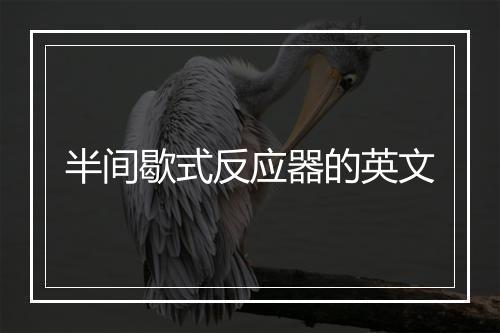 半间歇式反应器的英文