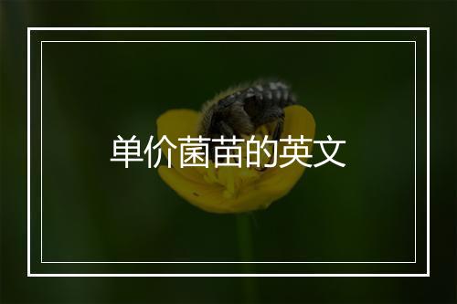 单价菌苗的英文