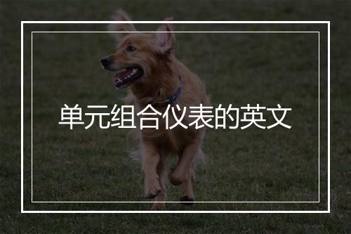 单元组合仪表的英文