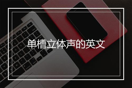 单槽立体声的英文