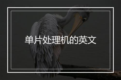 单片处理机的英文