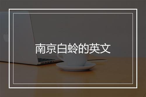 南京白蛉的英文