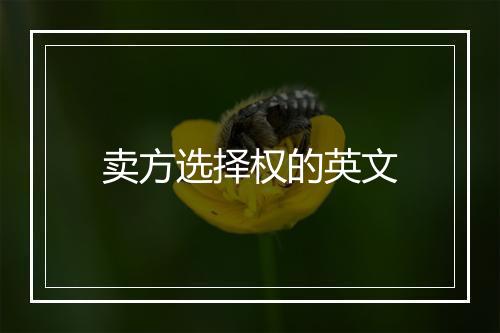 卖方选择权的英文