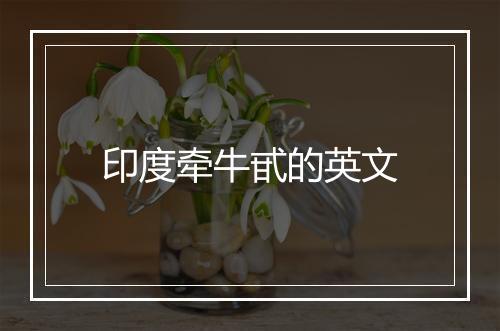 印度牵牛甙的英文