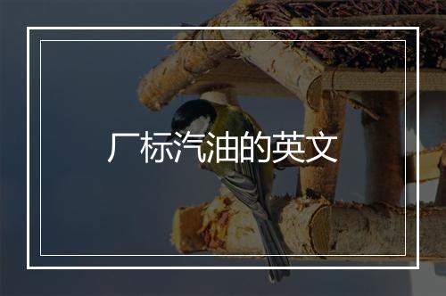 厂标汽油的英文