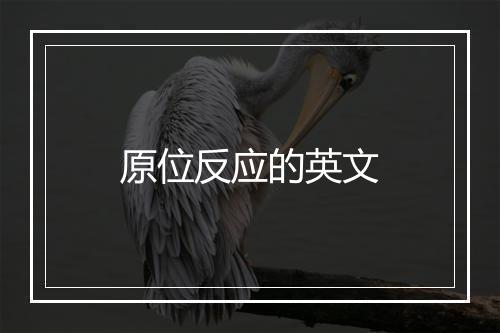 原位反应的英文