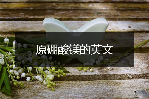 原硼酸镁的英文