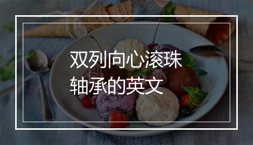 双列向心滚珠轴承的英文