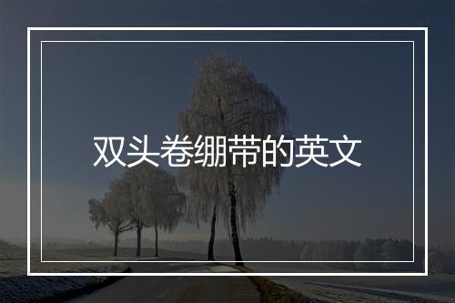 双头卷绷带的英文