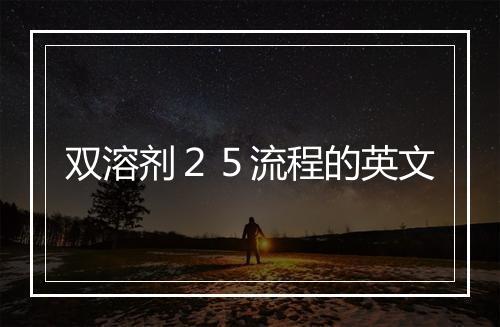 双溶剂２５流程的英文