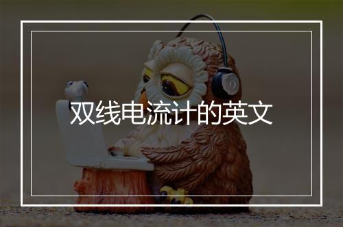 双线电流计的英文