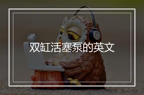 双缸活塞泵的英文