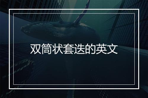 双筒状套迭的英文