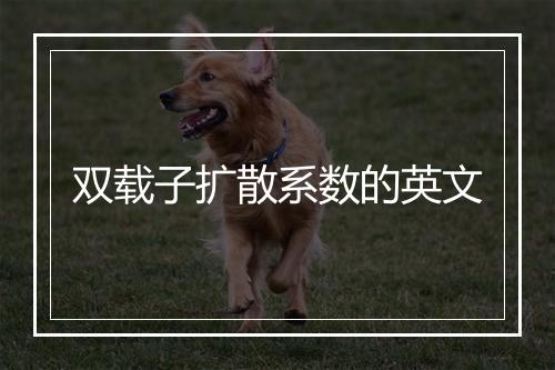 双载子扩散系数的英文