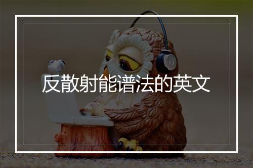 反散射能谱法的英文