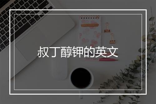 叔丁醇钾的英文