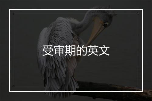 受审期的英文