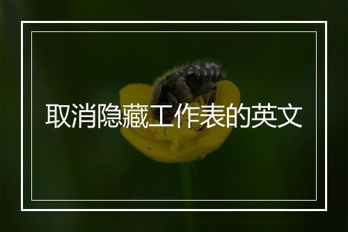 取消隐藏工作表的英文