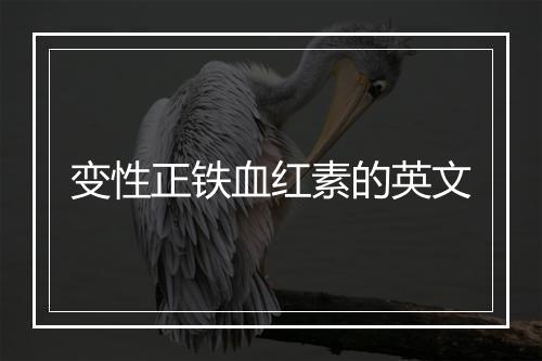 变性正铁血红素的英文