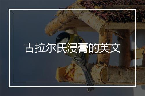 古拉尔氏浸膏的英文