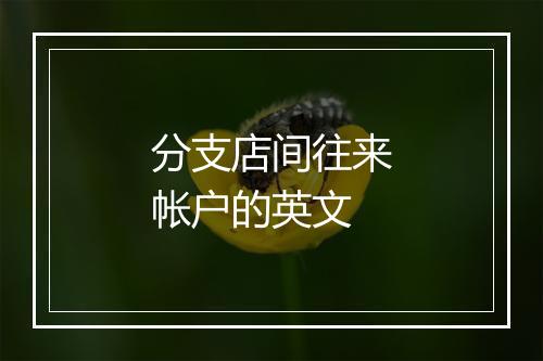 分支店间往来帐户的英文