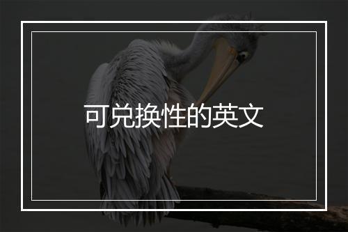 可兑换性的英文