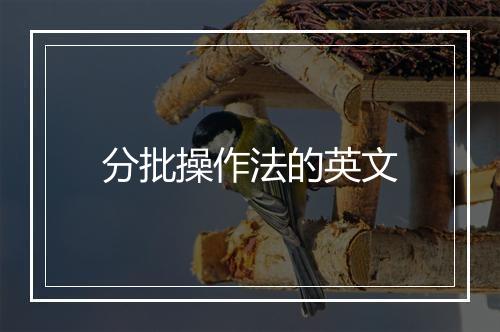 分批操作法的英文