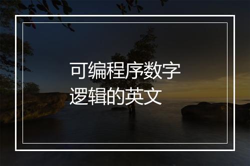 可编程序数字逻辑的英文