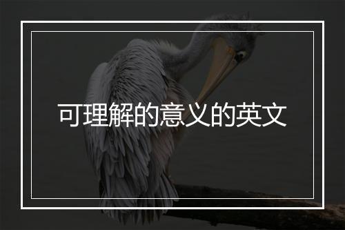 可理解的意义的英文