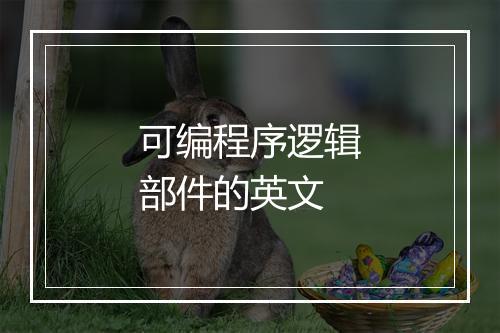 可编程序逻辑部件的英文