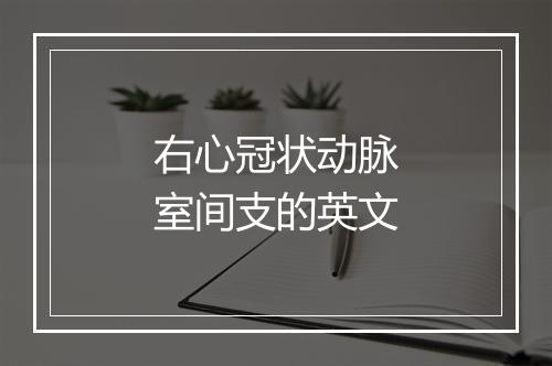 右心冠状动脉室间支的英文