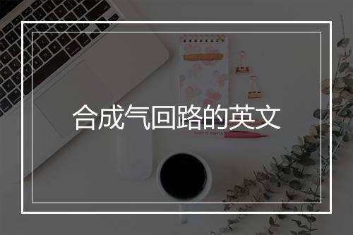 合成气回路的英文