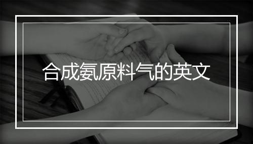 合成氨原料气的英文