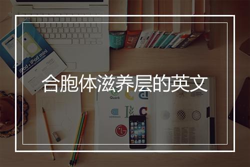 合胞体滋养层的英文