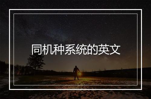 同机种系统的英文