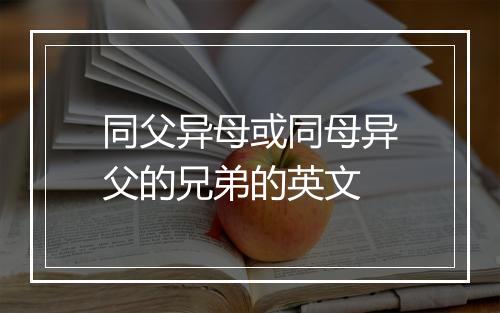 同父异母或同母异父的兄弟的英文