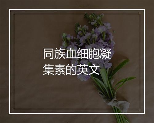 同族血细胞凝集素的英文