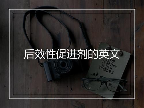 后效性促进剂的英文