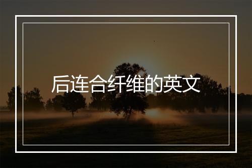 后连合纤维的英文