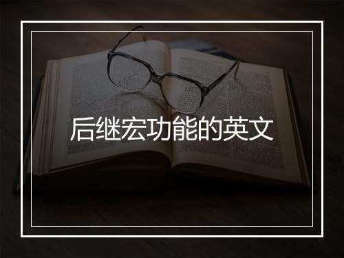 后继宏功能的英文