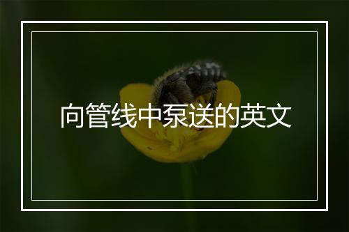 向管线中泵送的英文