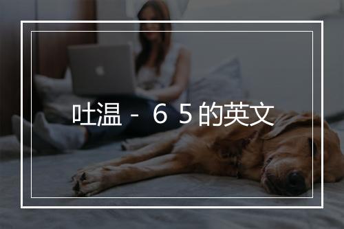 吐温－６５的英文