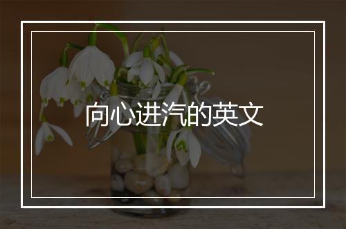 向心进汽的英文