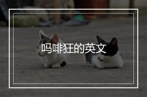 吗啡狂的英文